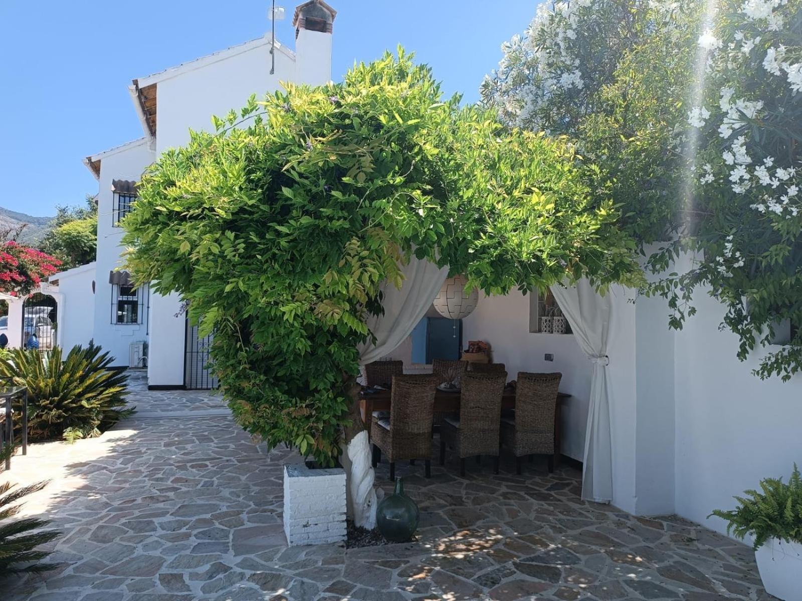 Bed & Breakfast Rayo Del Sol 3*