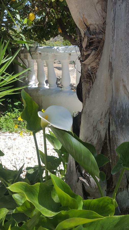Bed & Breakfast Rayo Del Sol 3*