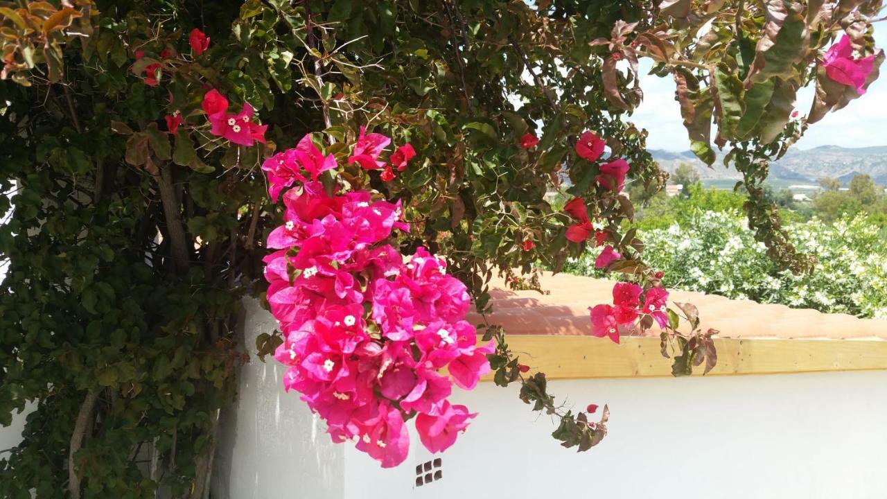 Rayo Del Sol Bed & Breakfast 3*
