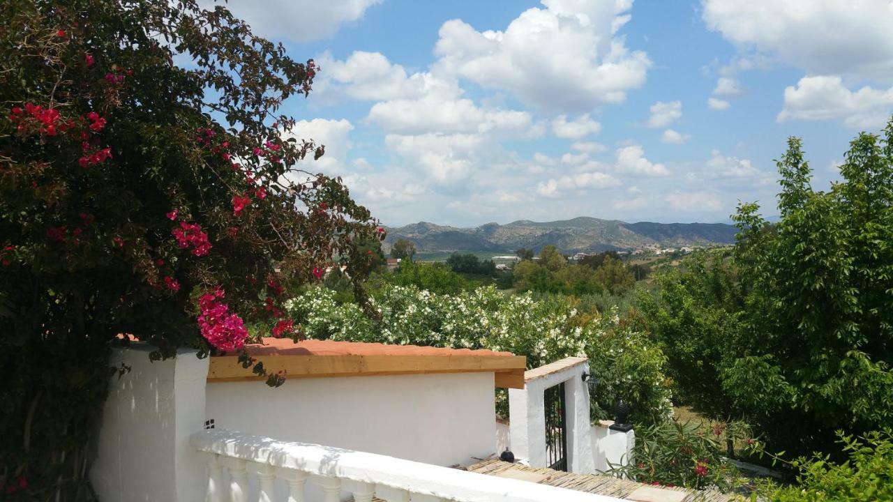 Rayo Del Sol